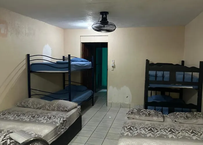 Hotel Wide Mouth Frog Conchal 3*