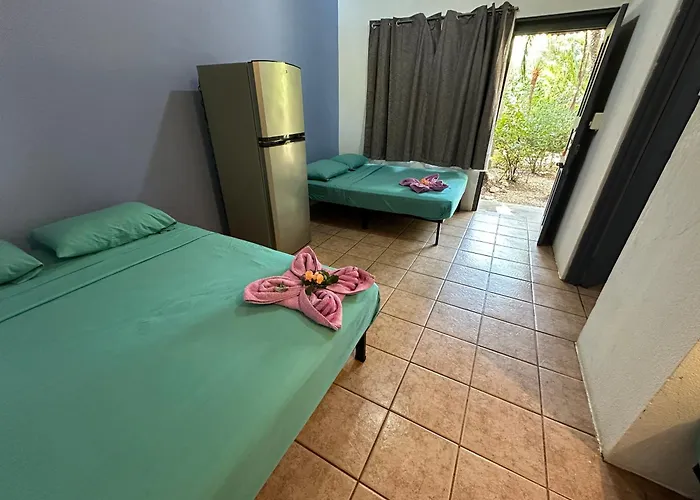 Hotel Wide Mouth Frog Conchal Brasilito